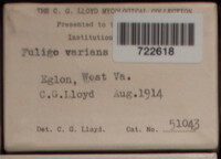 Image Associated With the Occurence